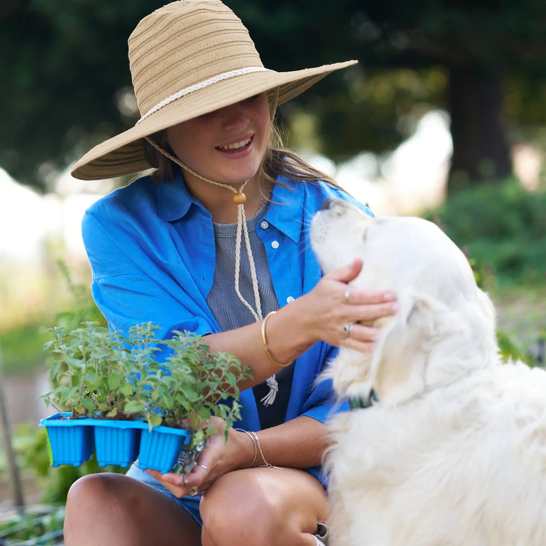 360FIVE Everyday Hat - Aloe Fedora Gardening Straw Wide Brim Sun Hat